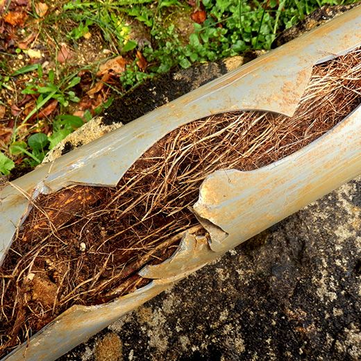 The Drain & Sewer Professionals In Angle Vale